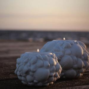 Seashell Ljushållare