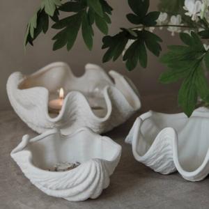 Shell Skål (Snäckskal)